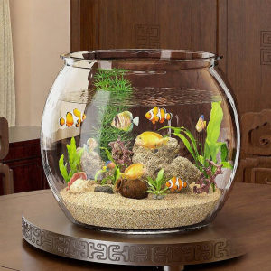 HUIYANGXU | Integrated Unbreakable Glass-like Small Round Aquarium