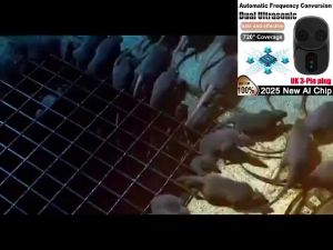 【2025 New Dual Ai chip】Rat Repellent Ultrasonic 720° Refund if ineffective penghalau tikus Smart Sensin Repels ratsbirdslizards halau tikus penghalau tikus paling berkesan Mouse