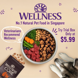 [Trial Box - Promo $5.99!] Wellness CORE Dog Kibble + Freebies (4 Sample Packs + Toy + 2 Treats)