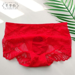 ผู้ชาย เซ็กซี่ ลูกไม้ กางเกงใน ใส่สบาย ระบายอากาศได้ดี โปร่งแสง ชุดชั้นในกระสอบสูง เอว กางเกงขายาว ห่าน ขนเป็ด Filled