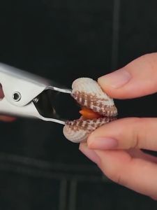 [Inox 304] Kìm mở sò huyết sò lôngsò huyết cồ hàu...Công Nghệ Đức - Đầu kìm nguyên khối siêu bền -ESTLA