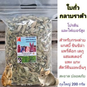 ใบถั่วกลาบราต้า อบแห้งสำหรับสัตว์ฟันแทะต่างๆ ใหม่ สะอาด หอมมาก (กลาบราต้า ถุง200กรัม)