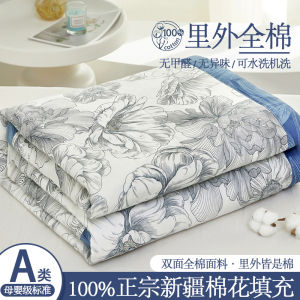 100% Pure Cotton Summer Quilt Set of 4 Washable Thin Air Conditioner Quilt Lightweight Cotton Fill Breathable Summer Comforter