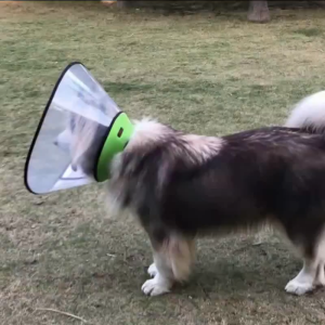 XXL/XXXL Large Dog Elizabethan Collar Extended Anti Lick Anti Bite Recovery Cone Adjustable Pet Protective Cover for Post Surgery & Skin Allergies