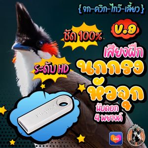 เสียงฝึกนก จูก V.9 ชุด เสียงใส ไม่มีโฆษณา ส่งฟรี มีเก็บเงินปลายทาง
