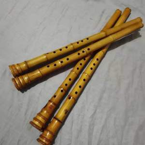 Nam Tiêu Trúc Quế - Nam Tiêu Trúc Vừng - Tiêu Trúc Hoa Cương - Nanxiao . Động Tiêu Trúc