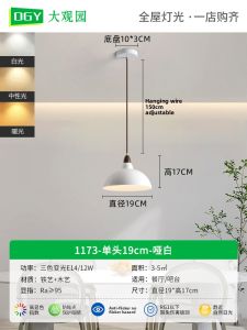 DGY | Japanese Style Minimalist Design Bedroom Restaurant Chandelier