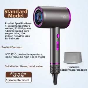 High-Speed Hair Dryer Professional Salon Powerful Negative Ion Protection Home Use Early Fish Electric Blow Dryer 2974