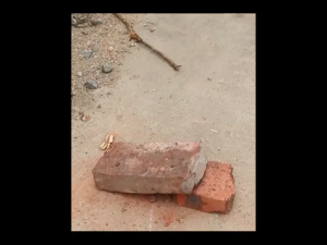 ใช้ 30 ปีก็ไม่พัง ! จอบขุดดิน จอบ คมเป็นพิเศษ แข็งแรงและทนทาน คราด จอบดายหญ้า คราดเหล็ก จอบถากหญ้า จอบเล็ก จอบพรวนดิน จอบอเนกประสงค์ ผลิตจากวัสดุที่มีความแข็งสูง หัวไม่หลุด ขอบหนา คม แถมไม้ติดมาด้วย จอบแมงกานีส จอบถากหญ้าคมๆ จอบถางหญ้า