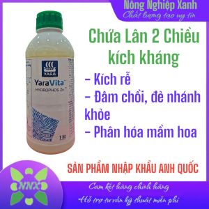 Phân bón lá PK Trung vi lượng HYDROPHOS Zn - Sản phẩm nhập khẩu Anh Quốc