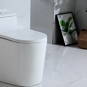 Herder-Smart Toilet Bowl With Dual Flush Set Water Tank Automatic Bidet Spray Toilet High Pressure Toilet