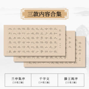 Calligraphy Practice Set for Beginners Adult Mindfulness Ancient Style Copybook Ideal for Learning Brush Script Writing