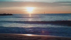 【SG In Stock🔥】 Aromatherapy Air Wick Refill Auto Air Freshener Dispenser Aroma Diffuser Room Fragrance Spray Scent For Toilet/Bedroom