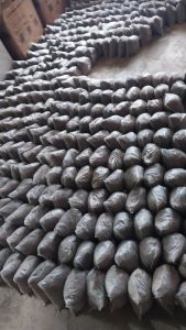 MUSHROOM SEEDS 50 PER PACKS 10PACKS IS 500 PESOS