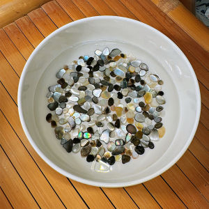 Exquisite Natural Seashell Slices Pearl Mother of Pearl Fragment Sea Snail Bone Polished Vibrant Colors Irregular Shape Home Decor