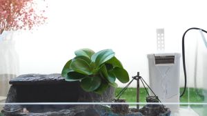 กรองน้ำเต่า เครื่องกรองน้ำเต่า น้ำสะอาด เด็กสุขภาพดี เครื่องกรองน้ำ กรองน้ำเต่า