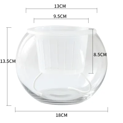 Transparent Glass Hydroponic Vase