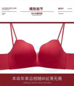 Adjustable V-Neck Bra for Women with Inner Lattice No Underwire Thickened for Summer Anti-Sagging Nylon Underwear with Fixed Straps