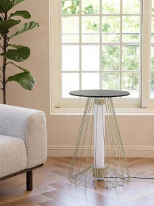 Regent Home | Creative Streamline Multifunctional Simple Style Luxurious Practical Atmosphere Floor Lamp