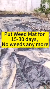 ผ้ากําจัดวัชพืชเจาะรู คลาสAAA พลาสติกคลุมวัชพืช ผ้าคลุมดิน ผ้าคลุมหญ้ผ้าคลุ ป้องกันรังสีUV หมหดปัญาหญ้าขึ้นกวน 0.8m×0.8m 1.2m×1.2m 1.5m×1.5m