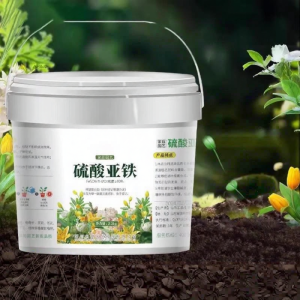 Fertilizer for Acid-loving Plants Water Soluble