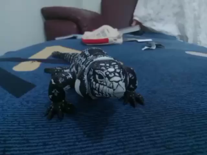 Mainan Reptil Artikulasi – Kadal Tegu Realistis Bisa Digereakkan Cocok untuk Koleksi & Hadiah terpopuler