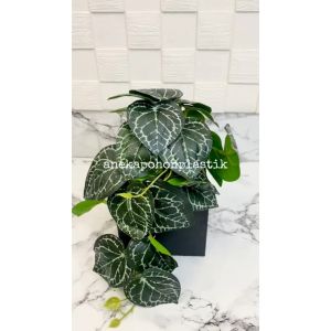 Tanaman Hias Mini untuk Ruangan: Dekorasi Meja Interior