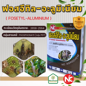 ฟอสอีทิล-อะลูมิเนียม สารป้องกัน-กำจัดเชื้อราไฟท็อปธอรา ป้องกันรักษาโรครากเน่าโคนเน่า ขนาด 1 กิโลกรัม