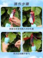 Anime Spiderman Bamboo Dragonfly Flying Toy Iron Man Captain Rotating String Flying Toys Outdoor Toy for Boys Children Gift. 