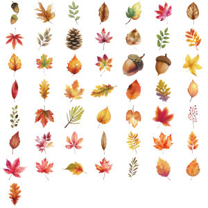 50/100PCS Creative Transparent PET Graffiti Stickers for Autumn Decoration DIY Phone Computer Festival Gift Stickers