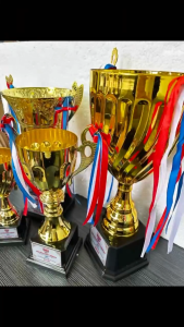 TROPHY CUP METAL 30018/30128 / TROFI CUP BESI / PIALA/ ANUGERAH /奖杯 GOLD/SILVER *FREE LOGO + LABEL*