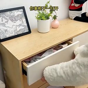 28-52cm Sekat Pembatas Laci Organizer Adjustable Drawer Divider Clear Partisi Pemisah Drawer Aksesori Organizer Laci