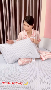 ❄️CHIẾU BĂNG LẠNH ICE COOL❄️ Bộ 3 Món Chiếu Kèm 2 Vỏ Gối Băng Lạnh Điều Hòa Nằm Mát Hàng Nhập Khẩu