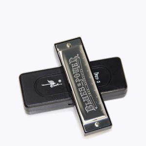 Harmonica Senior Bruce 10 Hole BLUES with Case Brass Stainless Steel