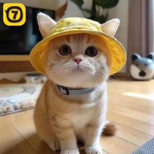 7o | Mũ Bảo Vệ Chống Nắng Dành Cho Thú Cưng Dễ Thương