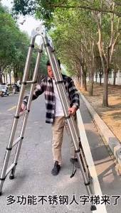 Adjustable Telescopic Foldable Thick Step Ladder