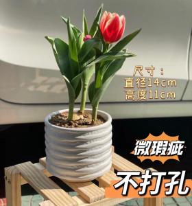 Flaw Special Offer Big Sale Ceramic Flower Pot Minimalist Ins Nordic Style Green Plant Small Flower Pot Home Desktop Breathable Green Radish
