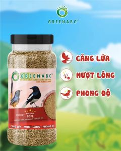 Cám Chim Chích Chòe GREENABC – Chim dưỡng dùng hằng ngày cho chim căng lửa phong độ dùng bổ sung – Hộp 280g