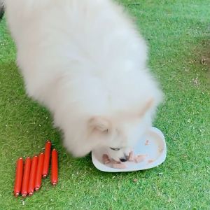 PET DIARY Snack Kucing Sosis Makanan Anjing Sosis 15g/Batang Bisa Untuk Pelatihan Hewan Peliharaan