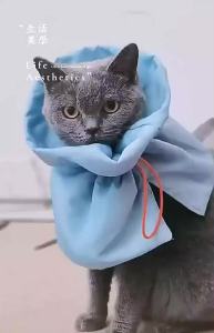 HamshMoc Cat E Collar Adjustable Split Design Lick Prevention Warm Layer For Recovery