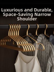 Seamless Protection Premium Metal Space-Saving Hanger