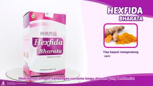 Obat Maag Kronis Asam Lambung Tinggi Paling Ampuh Hexfida Bharata