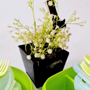 Kotak makan lunch box golden sunkist kotak bekal tepak makan anti tumpah kotak bekal anak sekolah