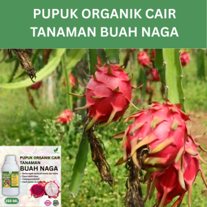 Pupuk Buah Naga 250 ML /Pupuk Booster Buah Naga Cepat Berbuah Lebat/Pupuk Cair Naga