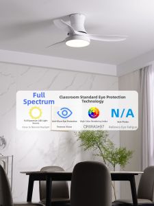 PUYU | 56 Inch Ceiling Fan Light
