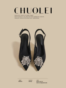 CHUOLEI | Spring New Arrival Black Silk Slip-on Pointed High Heels