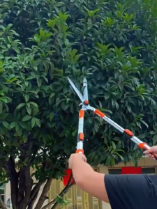 Heavy Duty Telescopic Tree Pruning Shears Labor-Saving Extendable Long Reach Garden Scissors Multi-Purpose Branch Bud Cutter for Thick Rough Branches Home Garden Farm Use