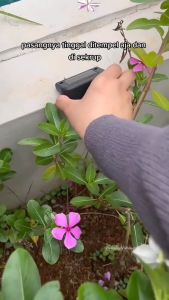 Lampu Taman Bebas Listrik | Promo 4 Buah Lampu Taman Hias Solar Sensor Cahaya IP44 Warm White