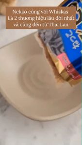 (HỎA TỐC 2H)(HÀNG MỚI)Pate Nekko Senior pate Cho Mèo 7 tuổi Gói 70g Có Prebiotic hỗ trợ tiêu hóa nekko senior nekko 7+