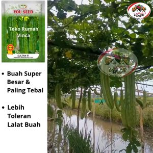 Bibit Biji Benih Paria SULTAN F1 10g dari Cap You Seed Pare Hijau Besar